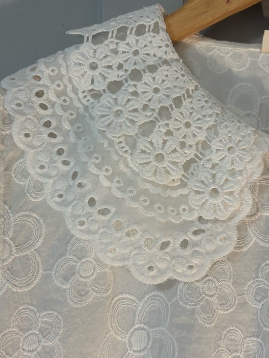 Cotton Eyelet Lace Peter Pan Collar Button-Up Blouse - Picture 2 of 14